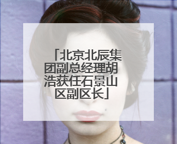 北京北辰集团副总经理胡浩获任石景山区副区长