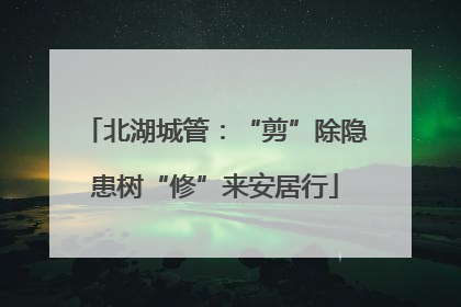 北湖城管：“剪”除隐患树“修”来安居行