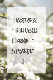 埃尔多安：向印尼出口48架“五代战机”