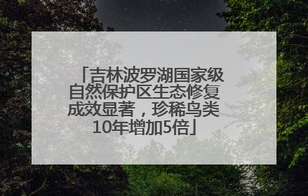 吉林波罗湖国家级自然保护区生态修复成效显著，珍稀鸟类10年增加5倍