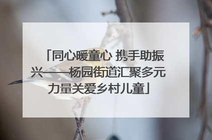 同心暖童心 携手助振兴——杨园街道汇聚多元力量关爱乡村儿童