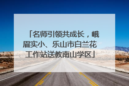 名师引领共成长，峨眉实小、乐山市白兰花工作站送教南山学区