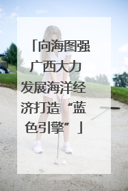 向海图强 广西大力发展海洋经济打造“蓝色引擎”