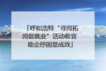 呼和浩特“寻岗拓岗促就业”活动收官 助企纾困显成效