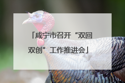 咸宁市召开“双回双创”工作推进会