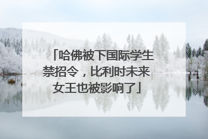哈佛被下国际学生禁招令，比利时未来女王也被影响了