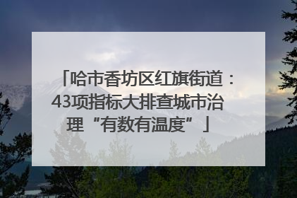 哈市香坊区红旗街道：43项指标大排查城市治理“有数有温度”
