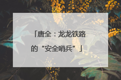 唐全：龙龙铁路的“安全哨兵”