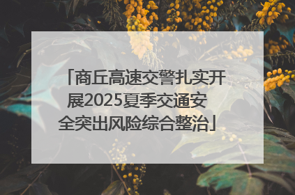 商丘高速交警扎实开展2025夏季交通安全突出风险综合整治