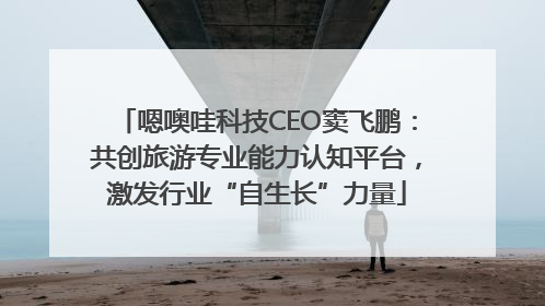 嗯噢哇科技CEO窦飞鹏：共创旅游专业能力认知平台，激发行业“自生长”力量