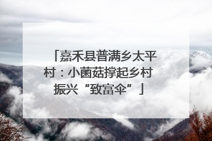 嘉禾县普满乡太平村：小菌菇撑起乡村振兴“致富伞”