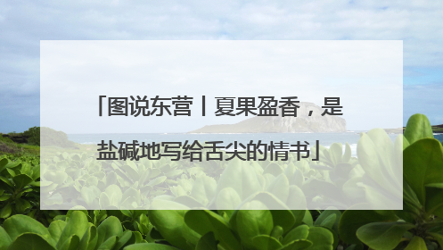 图说东营丨夏果盈香，是盐碱地写给舌尖的情书