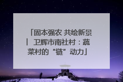 固本强农 共绘新景 ︳卫辉市南社村：蔬菜村的“链”动力
