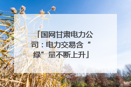 国网甘肃电力公司：电力交易含“绿”量不断上升