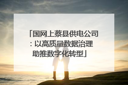 国网上蔡县供电公司：以高质量数据治理 助推数字化转型