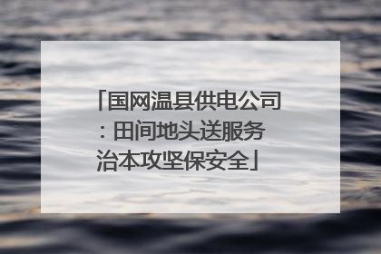 国网温县供电公司：田间地头送服务 治本攻坚保安全