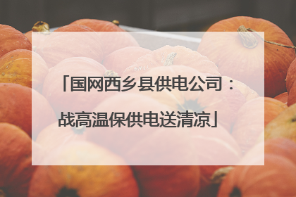 国网西乡县供电公司：战高温保供电送清凉