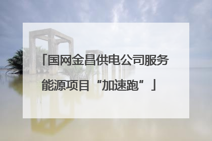 国网金昌供电公司服务能源项目“加速跑”