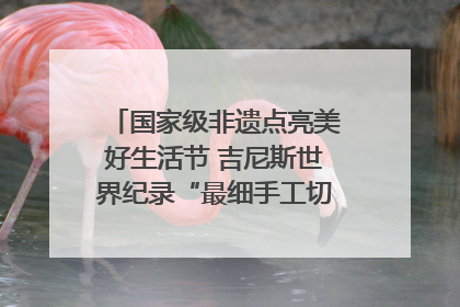 国家级非遗点亮美好生活节 吉尼斯世界纪录“最细手工切面”邀您来品！｜美好生活有“盐”味