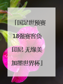 国足世预赛18强赛客负印尼 无缘美加墨世界杯