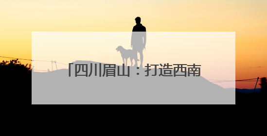 四川眉山：打造西南天府国际物流枢纽
