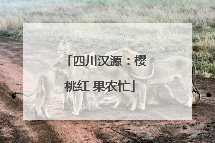 四川汉源：樱桃红 果农忙