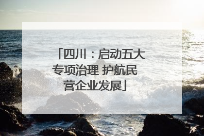 四川：启动五大专项治理 护航民营企业发展