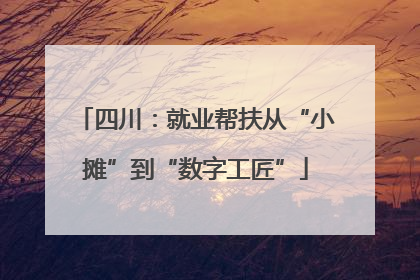 四川：就业帮扶从“小摊”到“数字工匠”