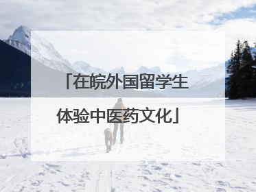 在皖外国留学生体验中医药文化
