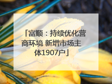 富顺：持续优化营商环境 新增市场主体1907户