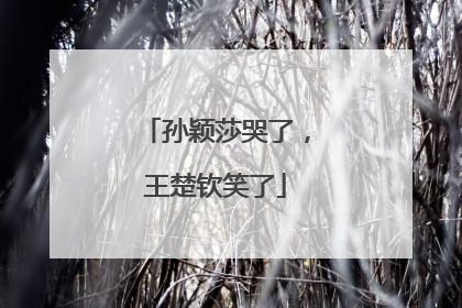 孙颖莎哭了，王楚钦笑了