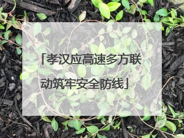 孝汉应高速多方联动筑牢安全防线