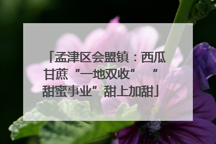孟津区会盟镇：西瓜甘蔗“一地双收” “甜蜜事业”甜上加甜