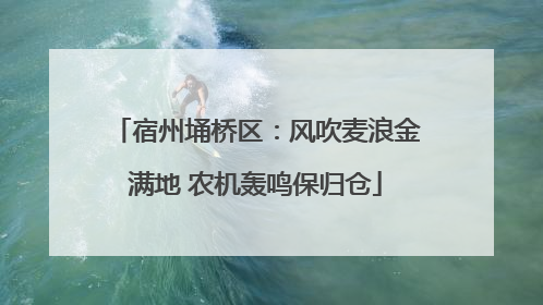 宿州埇桥区：风吹麦浪金满地 农机轰鸣保归仓
