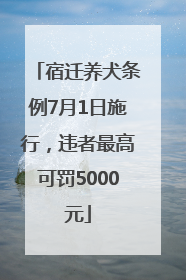 宿迁养犬条例7月1日施行，违者最高可罚5000元