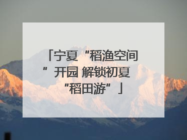 宁夏“稻渔空间”开园 解锁初夏“稻田游”