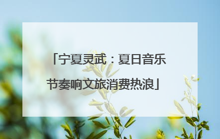 宁夏灵武：夏日音乐节奏响文旅消费热浪