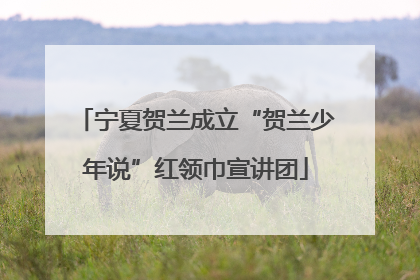 宁夏贺兰成立“贺兰少年说”红领巾宣讲团
