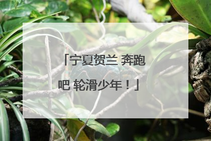 宁夏贺兰 奔跑吧 轮滑少年！