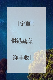 宁夏：供港蔬菜迎丰收