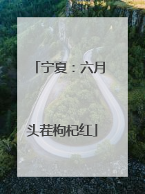 宁夏：六月头茬枸杞红