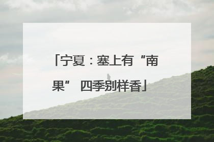 宁夏：塞上有“南果” 四季别样香