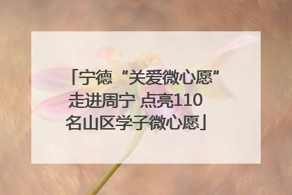 宁德“关爱微心愿”走进周宁 点亮110名山区学子微心愿