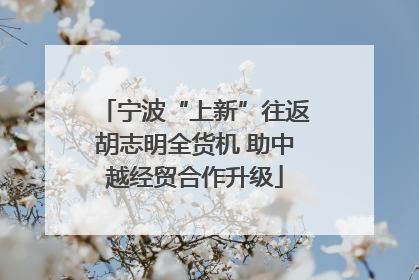 宁波“上新”往返胡志明全货机 助中越经贸合作升级