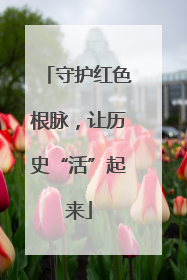 守护红色根脉，让历史“活”起来