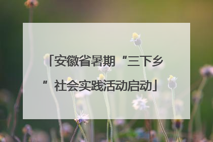 安徽省暑期“三下乡”社会实践活动启动