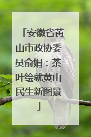 安徽省黄山市政协委员俞娟：茶叶绘就黄山民生新图景
