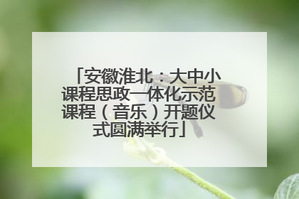 安徽淮北：大中小课程思政一体化示范课程（音乐）开题仪式圆满举行