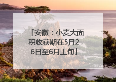 安徽：小麦大面积收获期在5月26日至6月上旬
