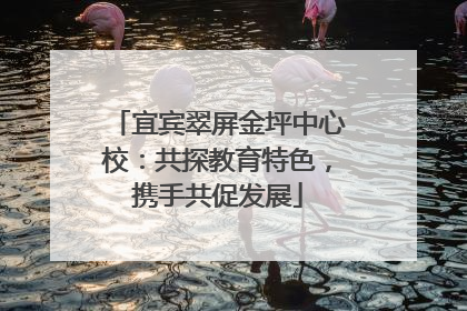 宜宾翠屏金坪中心校：共探教育特色，携手共促发展